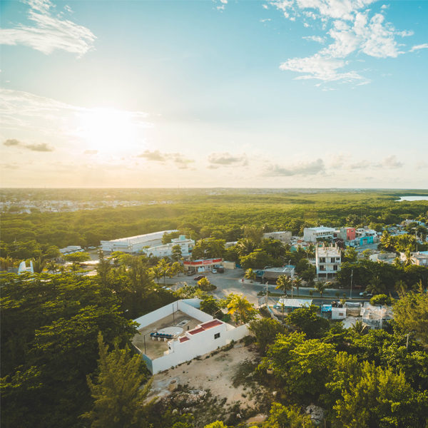 伊朗：我们想出口多少...